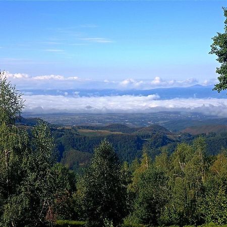 Villa Cabana Piatra Plaiului Budureasa Exterior foto