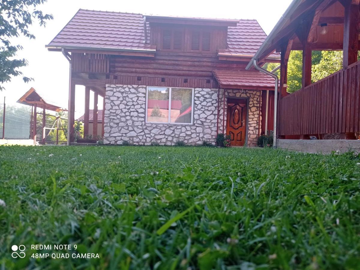 Villa Cabana Piatra Plaiului Budureasa Exterior foto