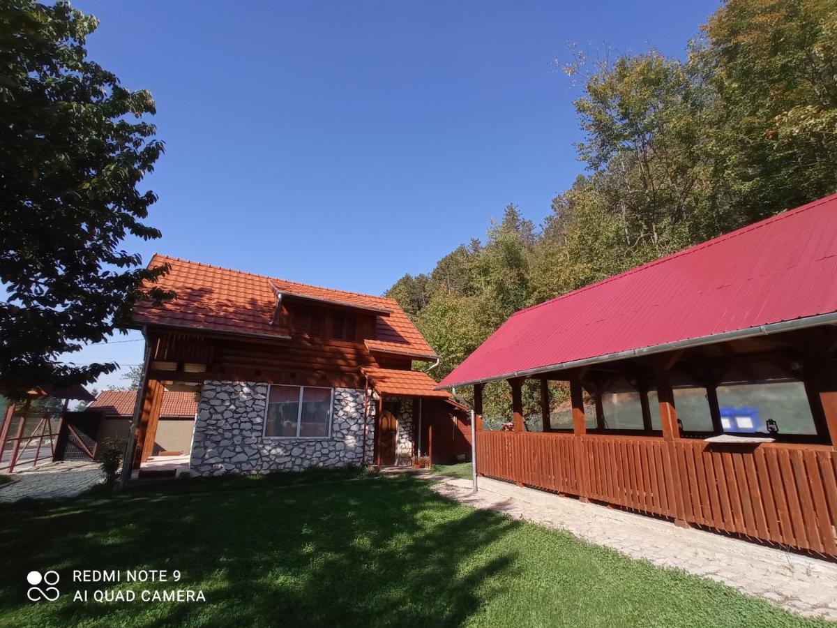 Villa Cabana Piatra Plaiului Budureasa Exterior foto