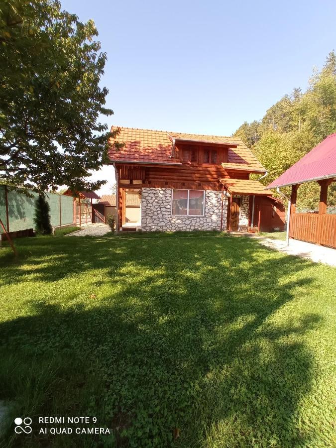Villa Cabana Piatra Plaiului Budureasa Exterior foto