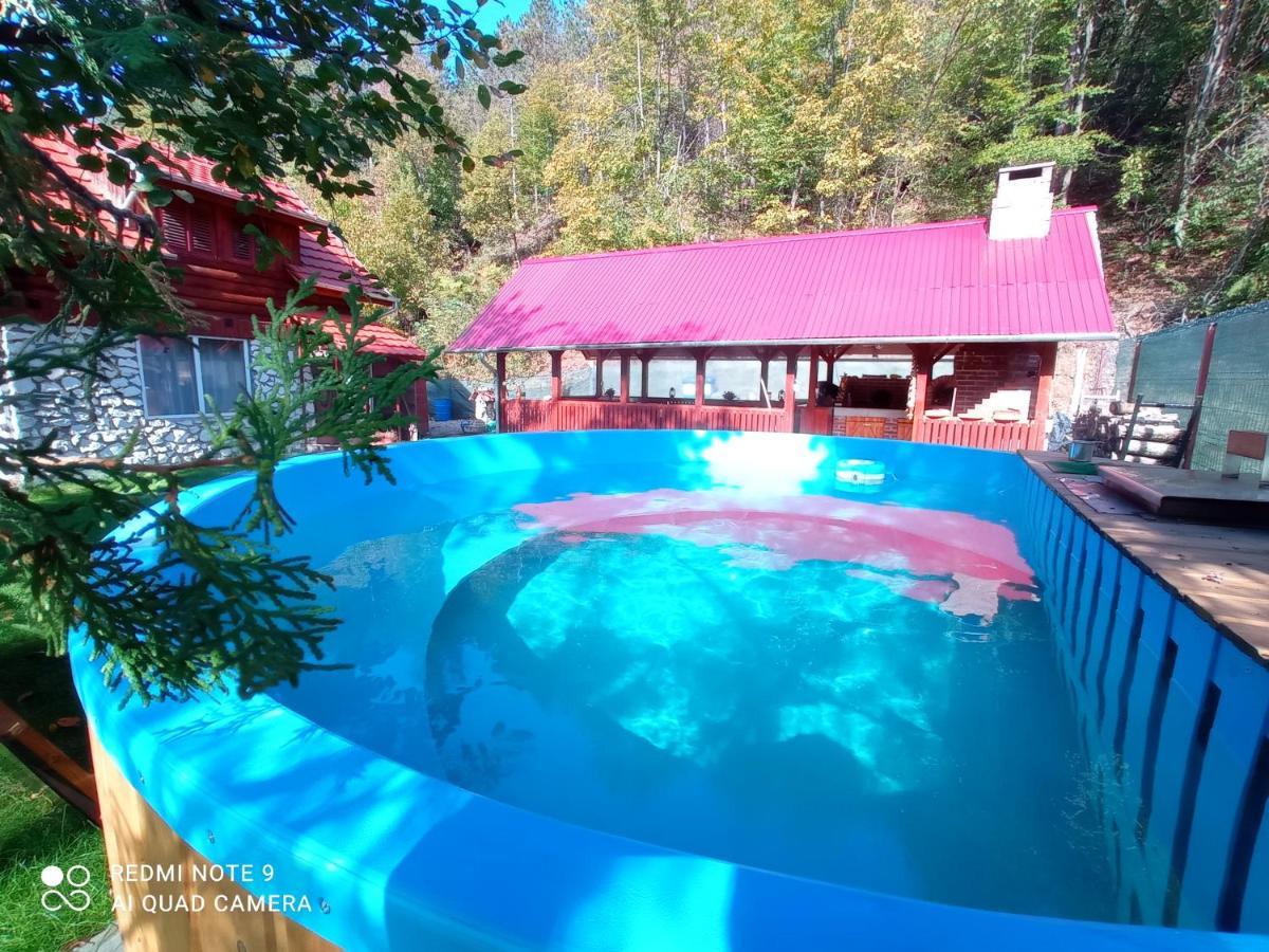 Villa Cabana Piatra Plaiului Budureasa Exterior foto
