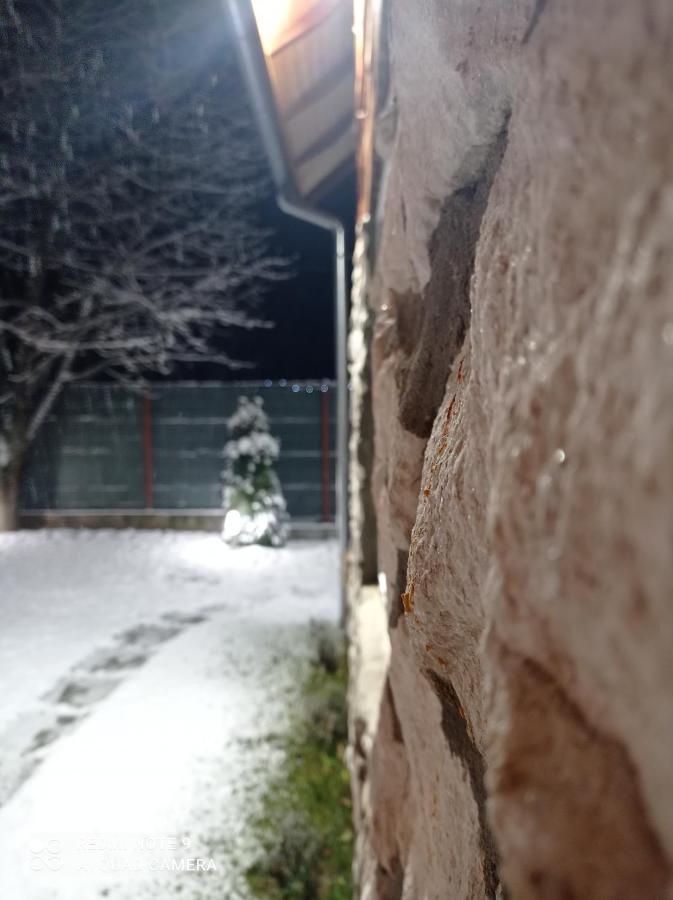 Villa Cabana Piatra Plaiului Budureasa Exterior foto