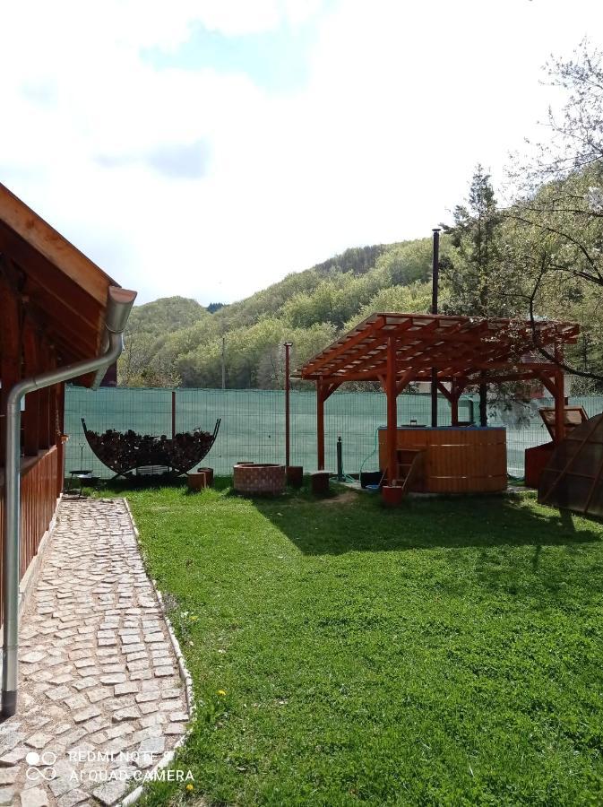 Villa Cabana Piatra Plaiului Budureasa Exterior foto