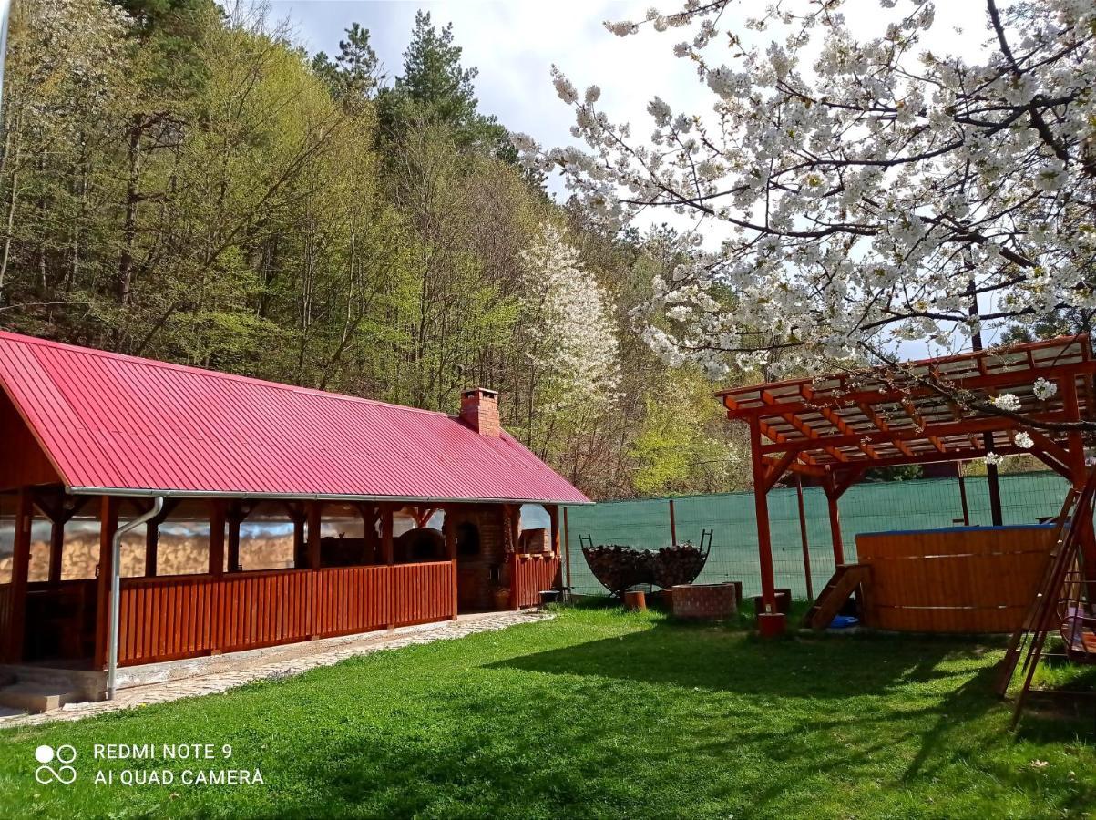 Villa Cabana Piatra Plaiului Budureasa Exterior foto