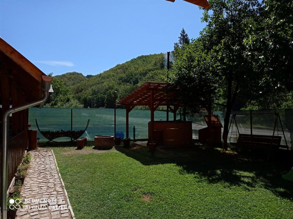 Villa Cabana Piatra Plaiului Budureasa Exterior foto